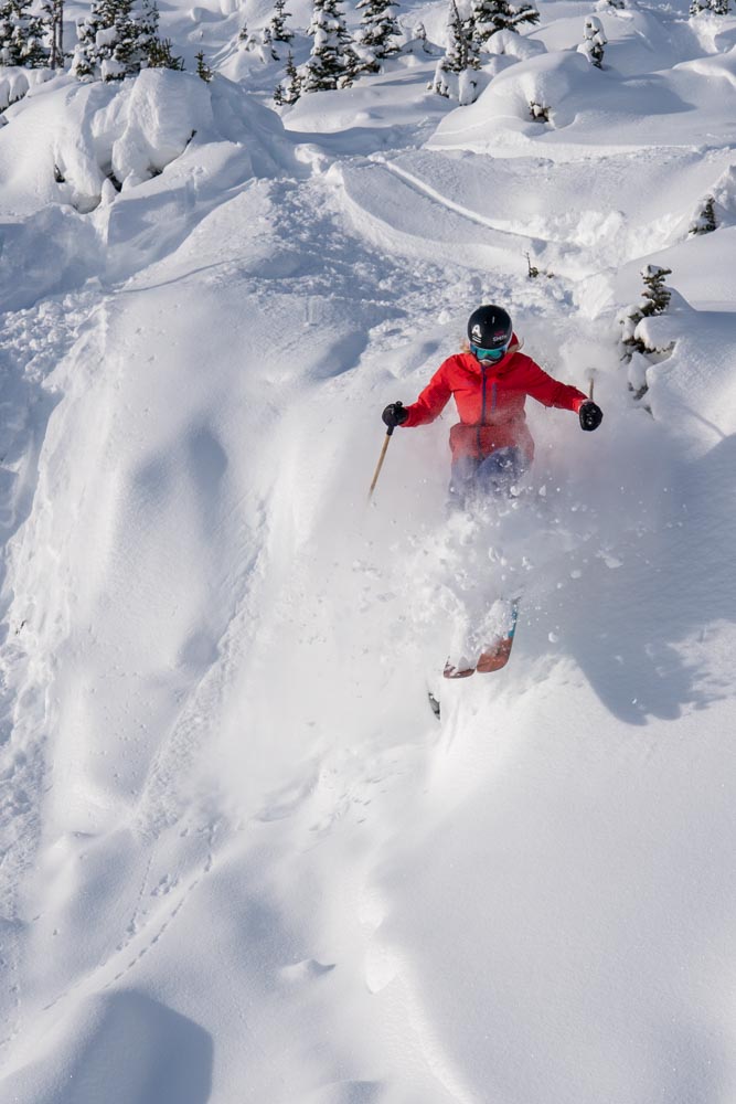 Skier drops through sunlit powder off a small pillow in treed alpine glades.